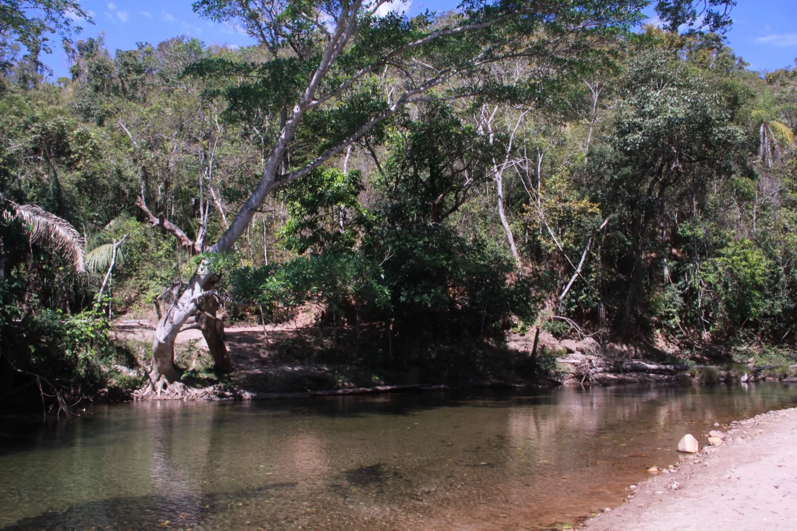 Praia do Jatobá, praia de rio na Chapada dos Veadeiros